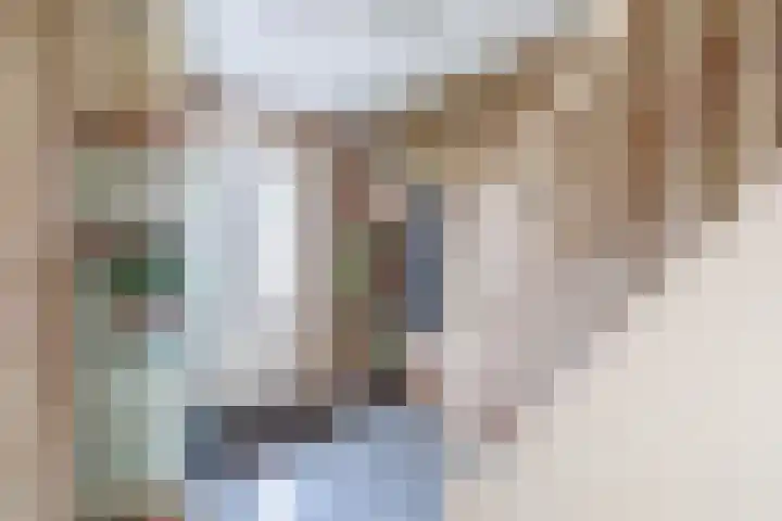 Hermelijnweide 22 Veghel thumbnail 6
