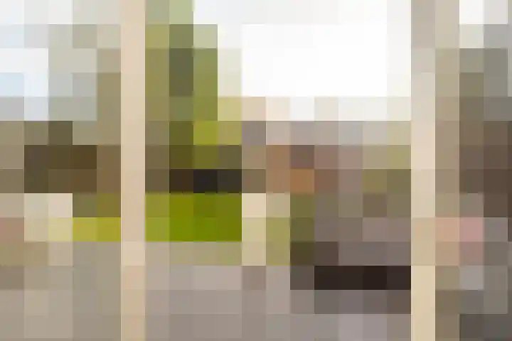 Hermelijnweide 3 Nieuwegein thumbnail 21