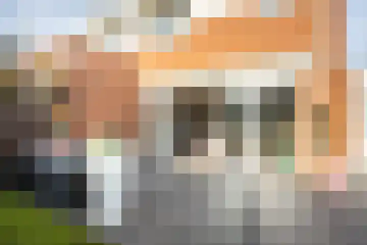 Hermelijnweide 3 Nieuwegein thumbnail 22