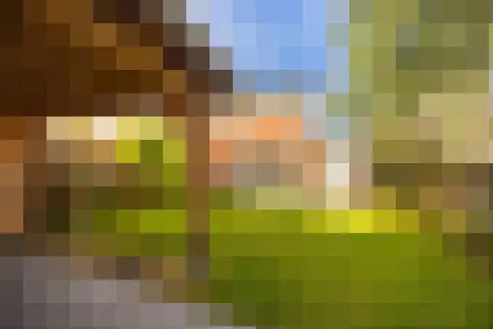 Hermelijnweide 3 Nieuwegein thumbnail 28