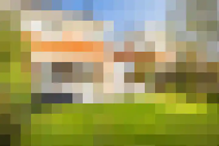 Hermelijnweide 3 Nieuwegein thumbnail 29