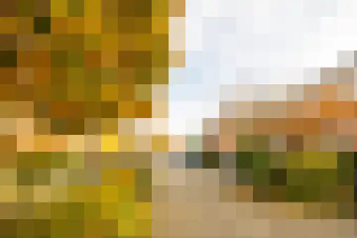 Hermelijnweide 3 Nieuwegein thumbnail 54
