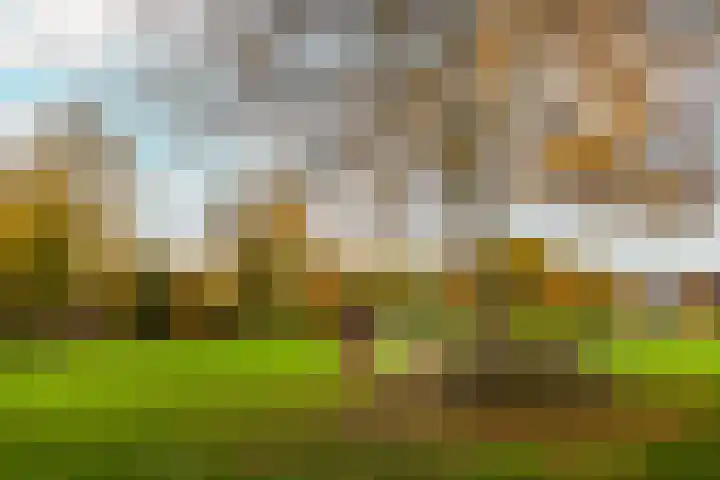 Hermelijnweide 3 Nieuwegein thumbnail 56