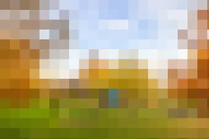 Hermelijnweide 3 Nieuwegein thumbnail 57