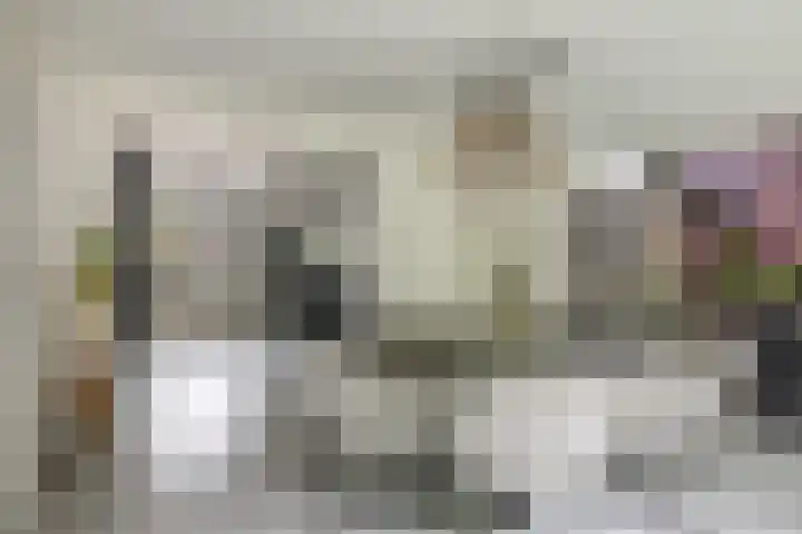 Hermelijnweide 32 Veghel thumbnail 19