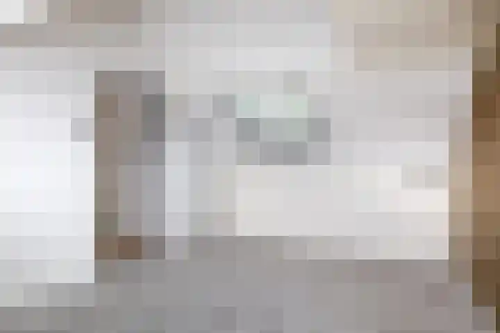 Hermelijnweide 32 Veghel thumbnail 36