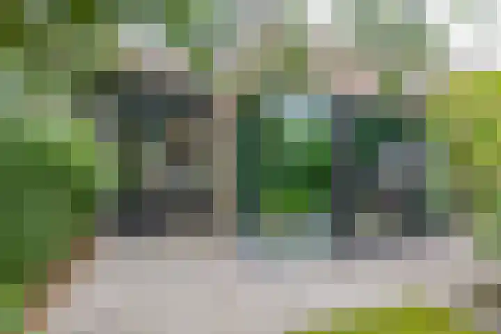 Hermelijnweide 32 Veghel thumbnail 38