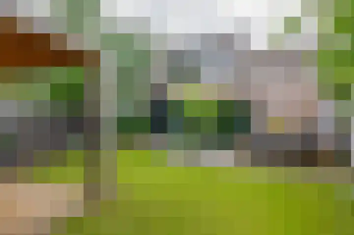 Hermelijnweide 32 Veghel thumbnail 39