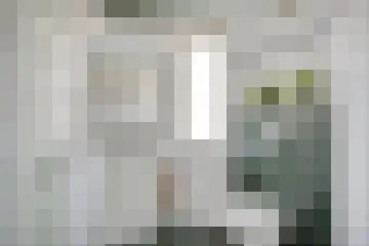 Hermelijnweide 39 Veghel thumbnail 22