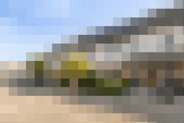 Hermelijnweide 39 Veghel thumbnail 32