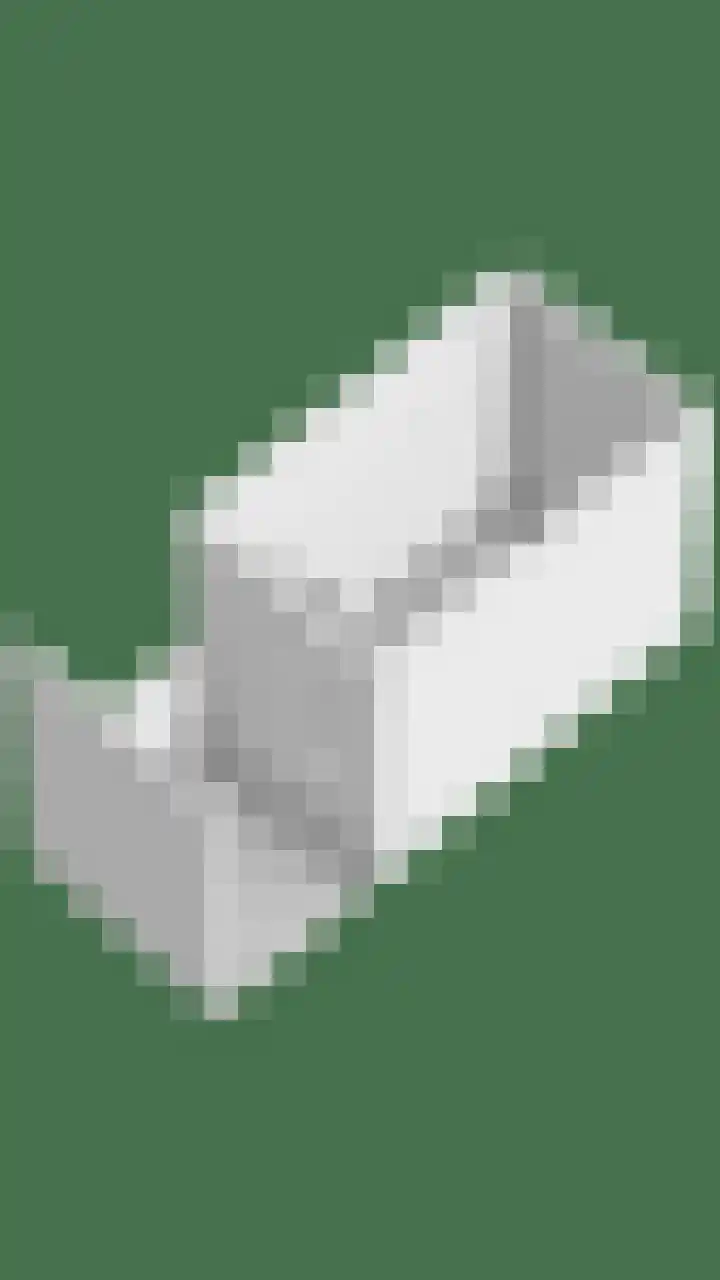 Hermelijnweide 39 Veghel thumbnail 36