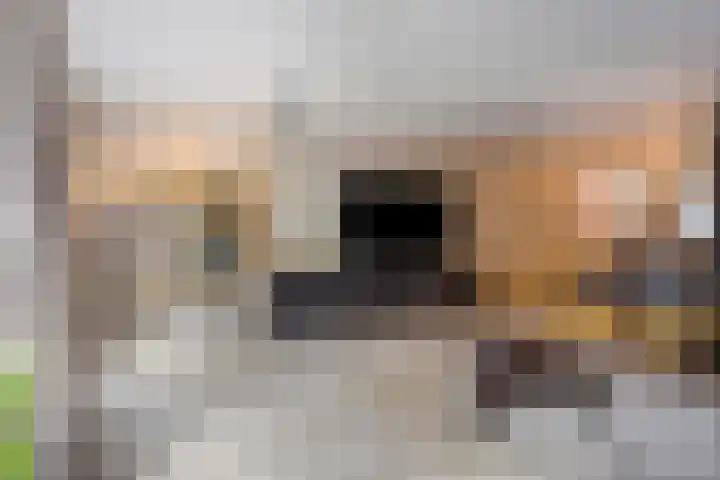 Hermelijnweide 40 Veghel thumbnail 14
