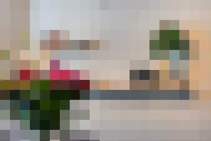 Hermelijnweide 40 Veghel thumbnail 21