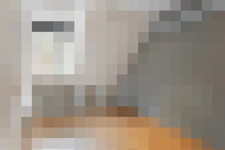Hermelijnweide 40 Veghel thumbnail 30