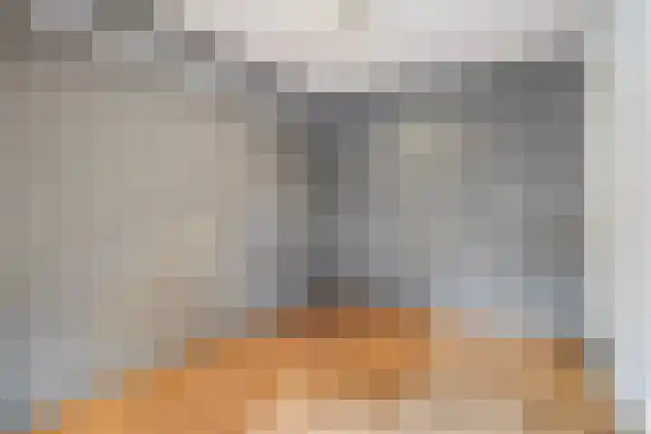Hermelijnweide 40 Veghel thumbnail 32