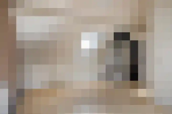 Hermelijnweide 40 Veghel thumbnail 38