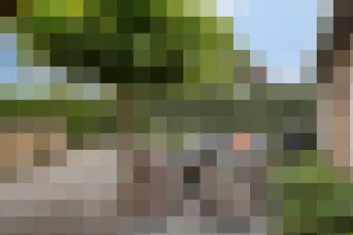 Hermelijnweide 40 Veghel thumbnail 39