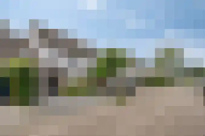 Hermelijnweide 40 Veghel thumbnail 6