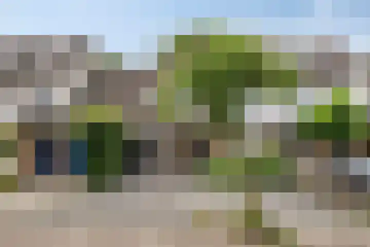 Hermelijnweide 40 Veghel thumbnail 7