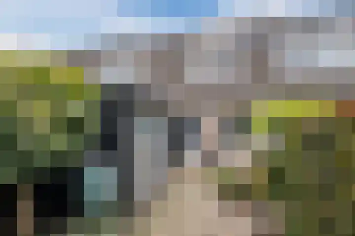 Hermelijnweide 41 Veghel thumbnail 28