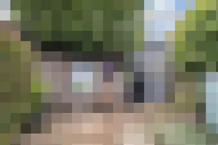 Hermelijnweide 41 Veghel thumbnail 31