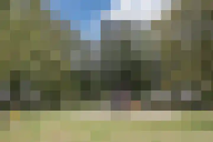 Hermelijnweide 41 Veghel thumbnail 33