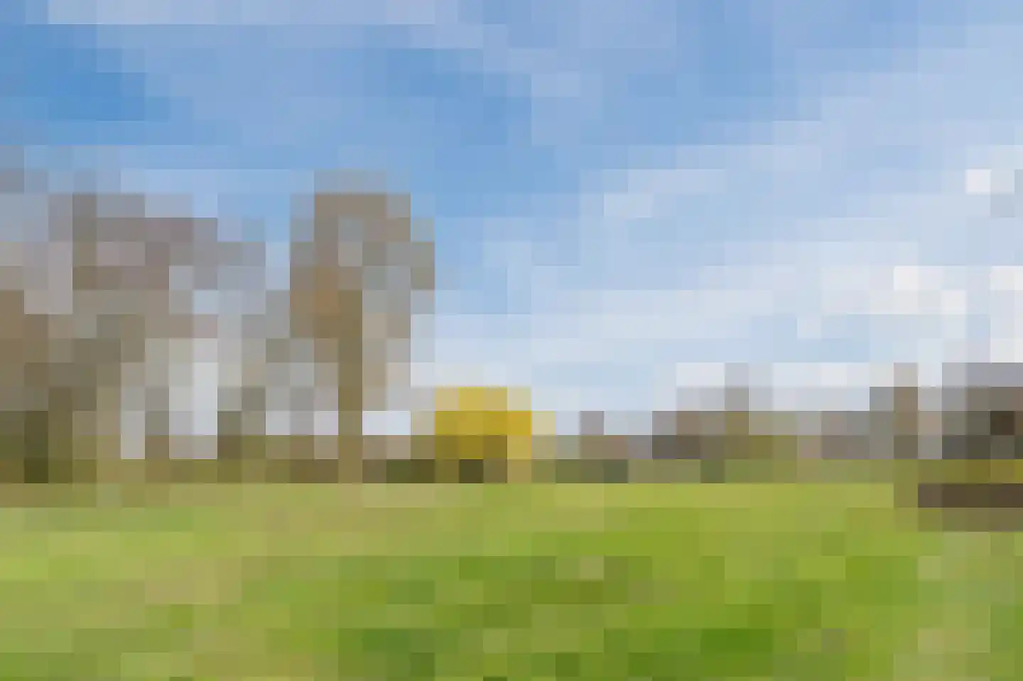 Hermelijnweide 42 Veghel thumbnail 45