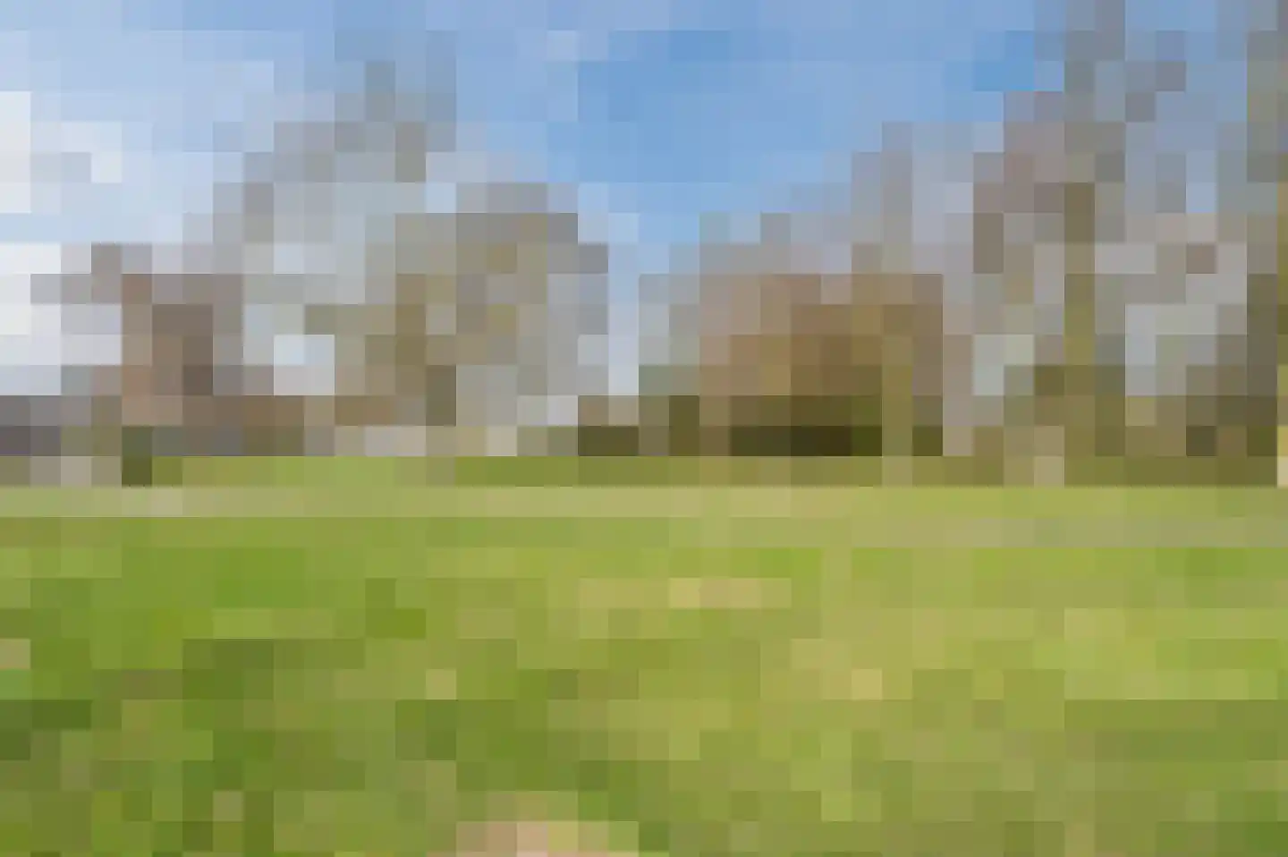 Hermelijnweide 42 Veghel thumbnail 46