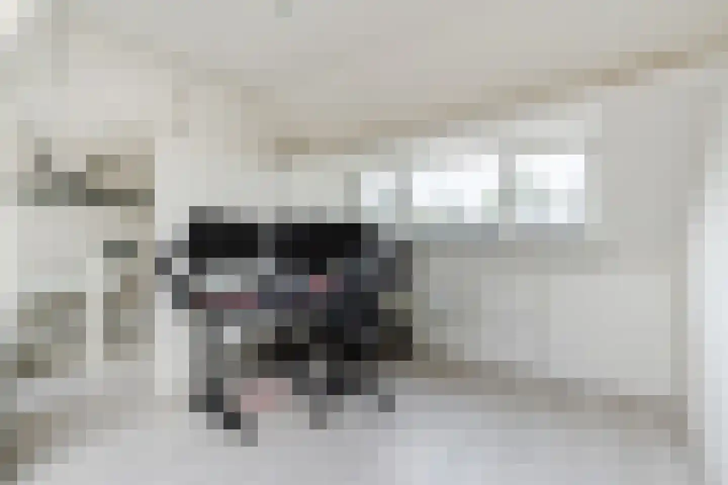 Hermelijnweide 43 Veghel thumbnail 31