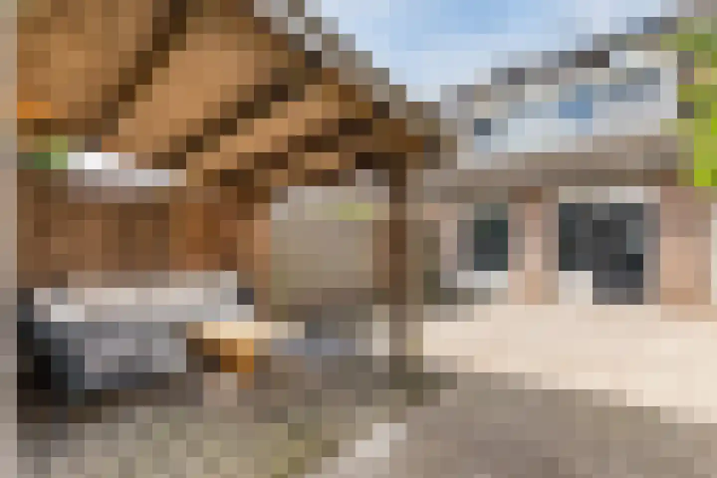 Hermelijnweide 43 Veghel thumbnail 39