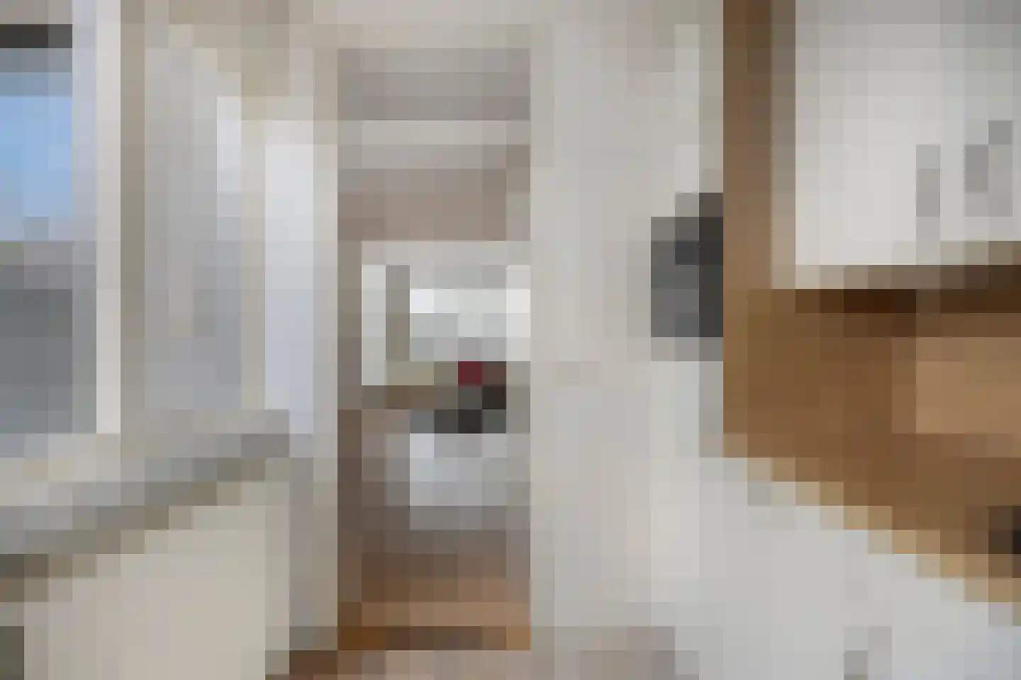 Hermelijnweide 7 Veghel thumbnail 11