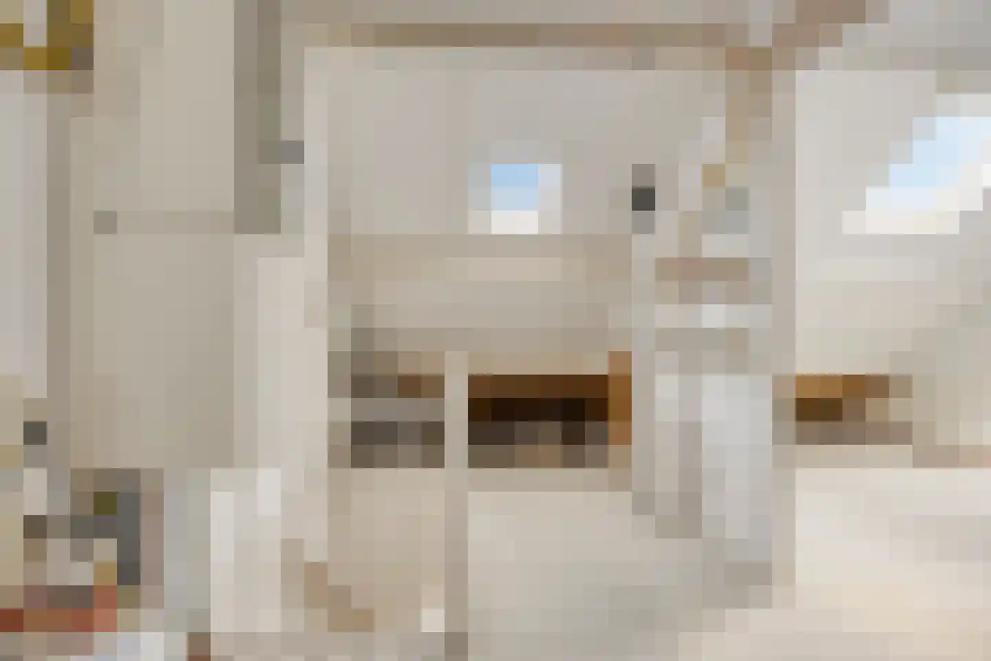 Hermelijnweide 7 Veghel thumbnail 23