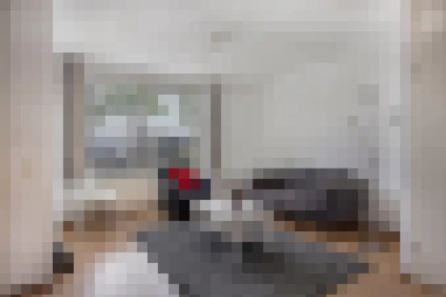 Hermelijnweide 7 Veghel thumbnail 5