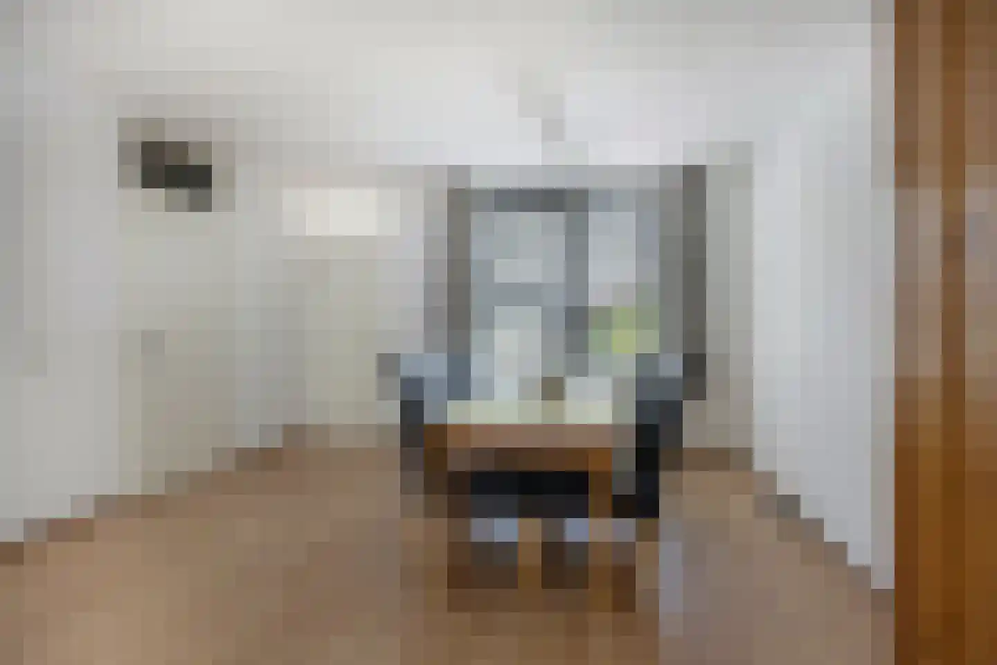 Hermelijnweide 7 Veghel thumbnail 7