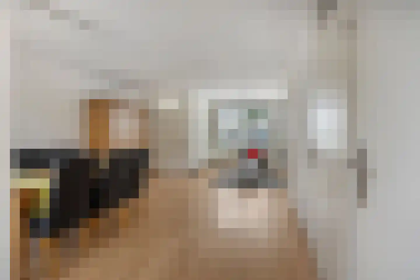 Hermelijnweide 7 Veghel thumbnail 9