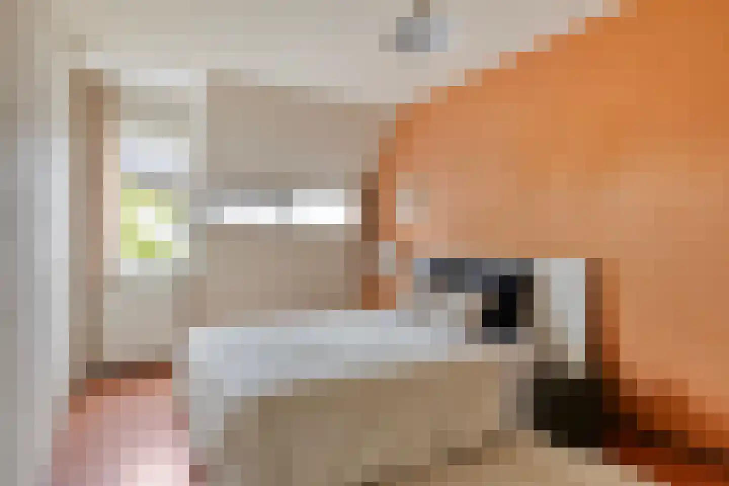 Hermelijnweide 8 Veghel thumbnail 14