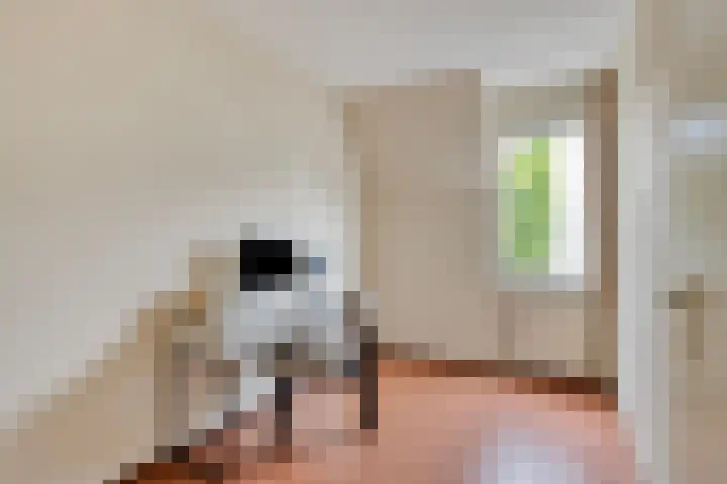 Hermelijnweide 8 Veghel thumbnail 18