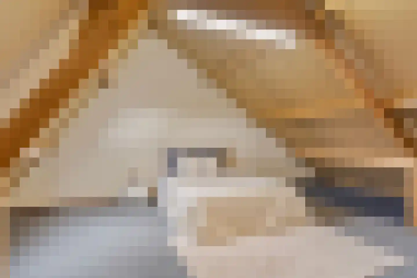 Hermelijnweide 8 Veghel thumbnail 23