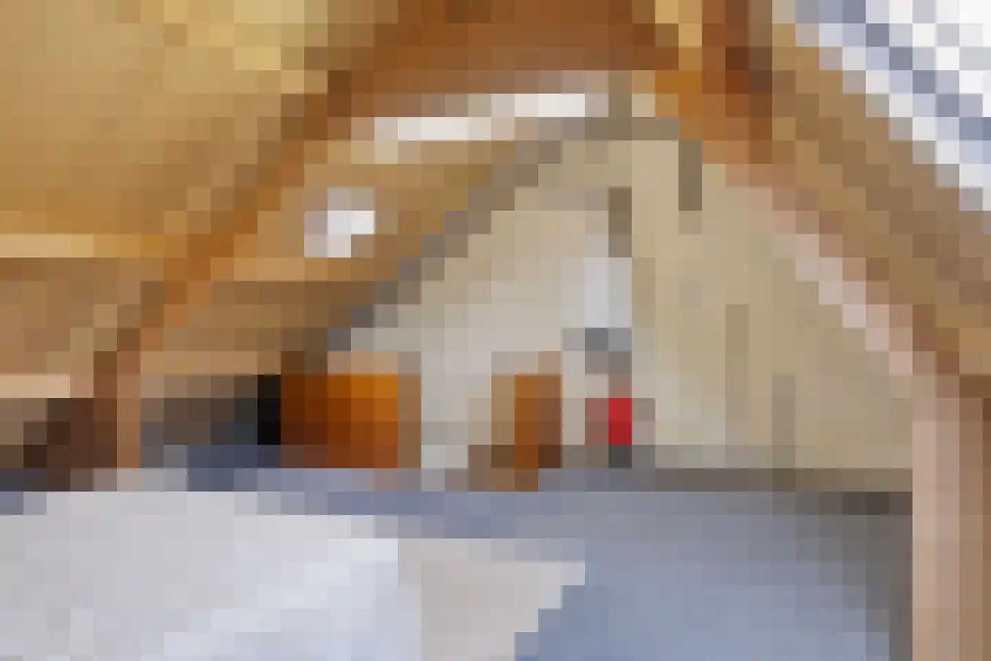 Hermelijnweide 8 Veghel thumbnail 24