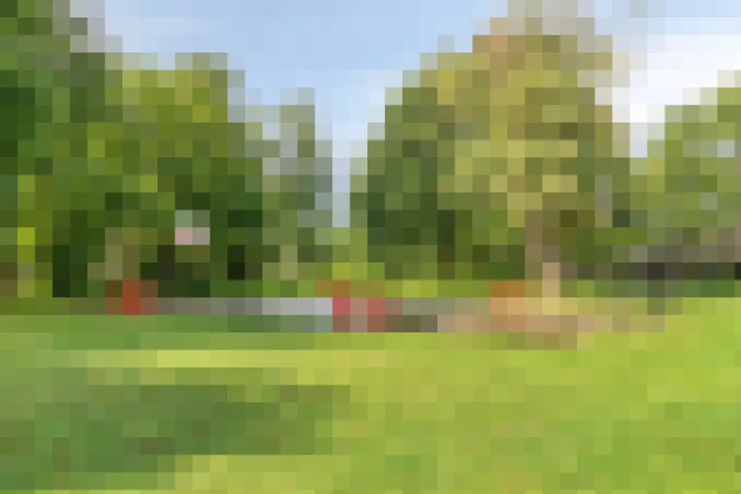 Hermelijnweide 8 Veghel thumbnail 27