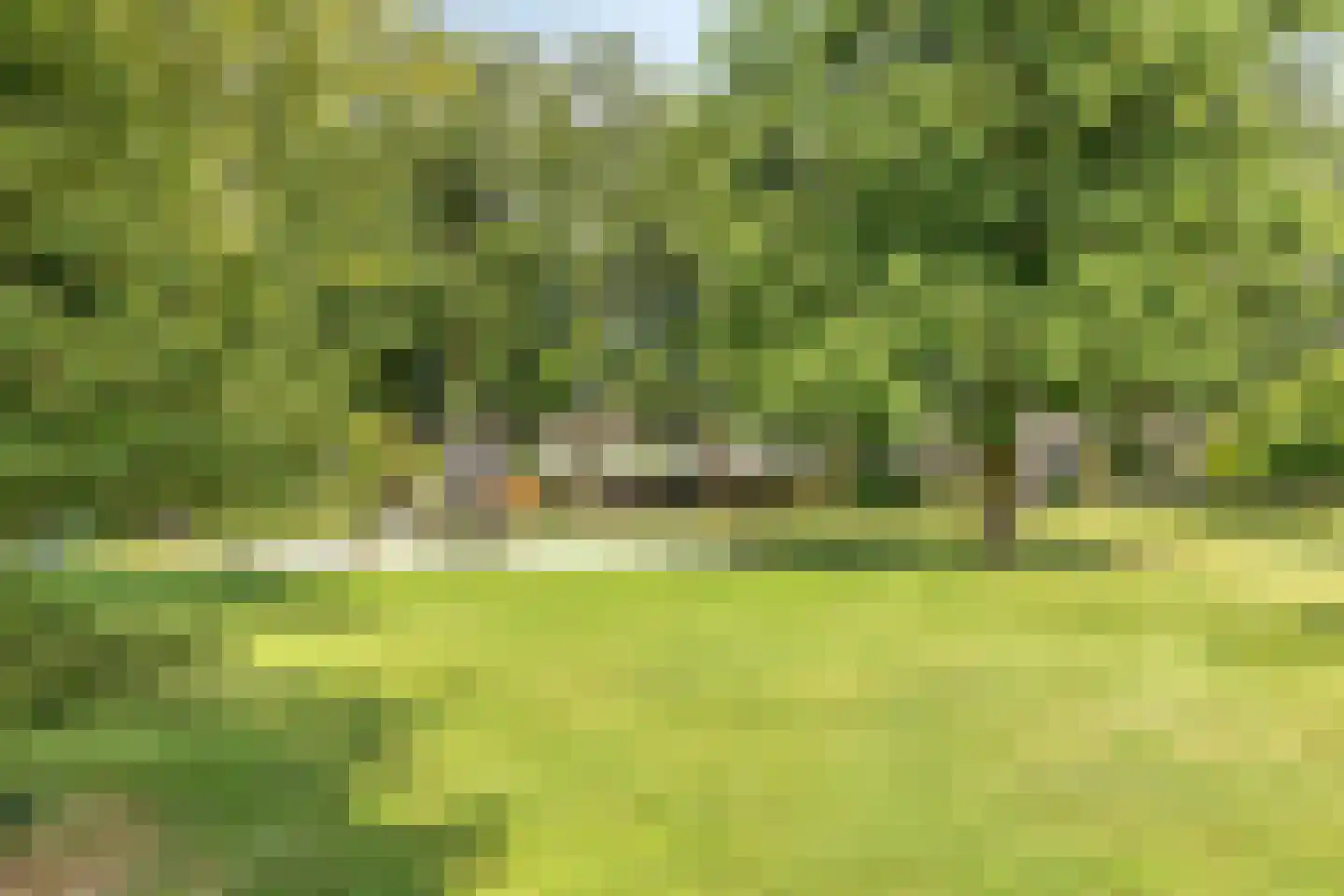 Hermelijnweide 8 Veghel thumbnail 28