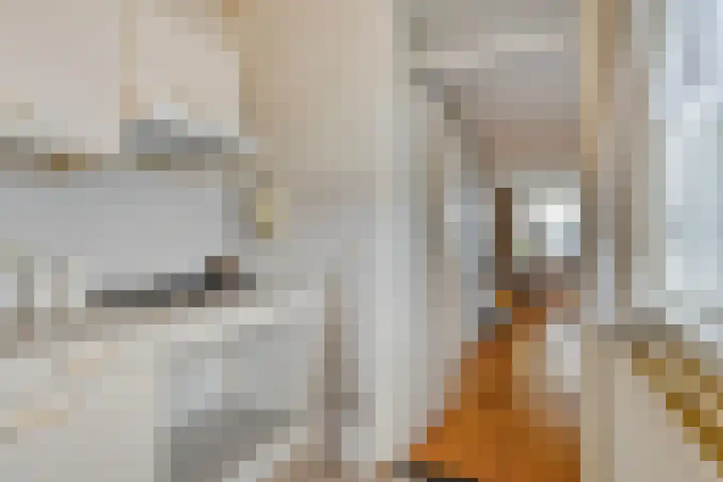 Hermelijnweide 8 Veghel thumbnail 9