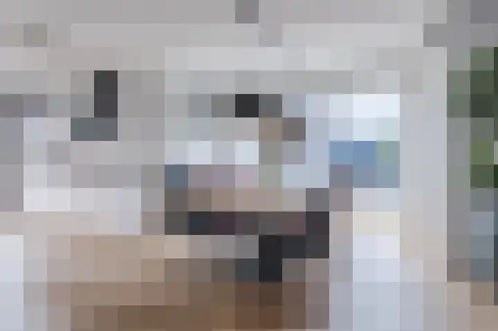 Hermelijnzoom 16 Pijnacker thumbnail 14