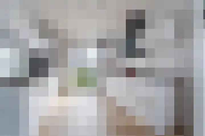 Hermelijnzoom 16 Pijnacker thumbnail 16