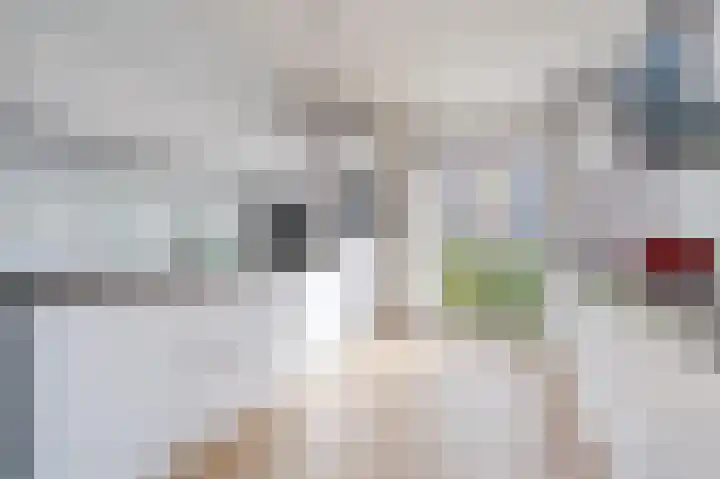 Hermelijnzoom 16 Pijnacker thumbnail 17