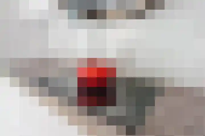 Hermelijnzoom 16 Pijnacker thumbnail 19