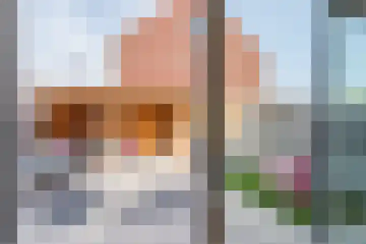 Hermelijnzoom 16 Pijnacker thumbnail 22