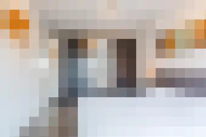 Hermelijnzoom 16 Pijnacker thumbnail 27