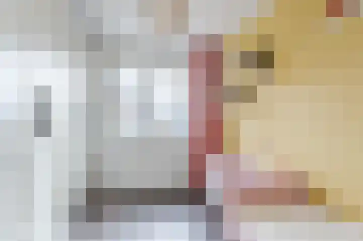 Hermelijnzoom 16 Pijnacker thumbnail 31