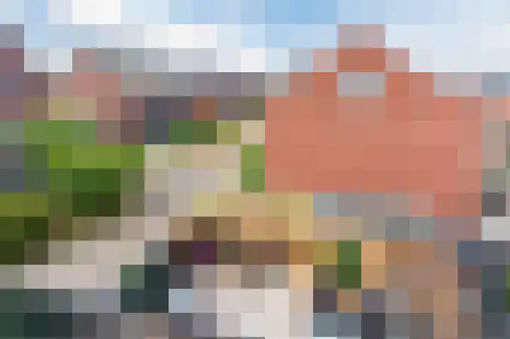 Hermelijnzoom 16 Pijnacker thumbnail 49